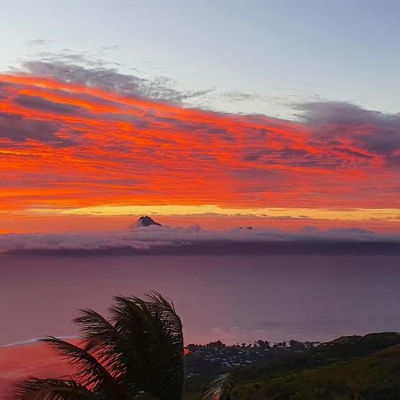 Pacific View Homestay Пунаауйя Экстерьер фото